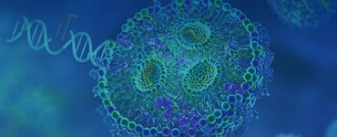 Non-Viral Delivery (LNPs)