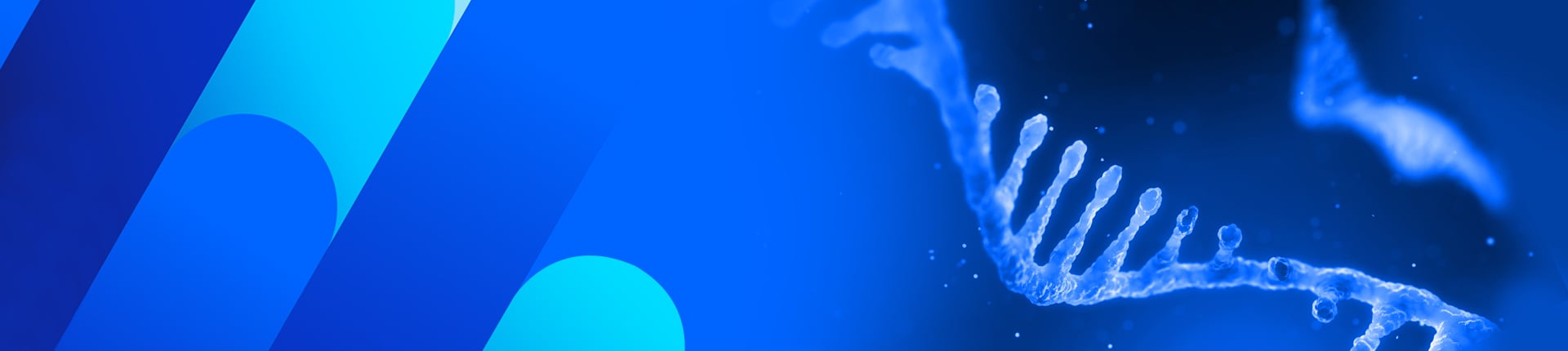 Custom DNA Oligo Synthesis