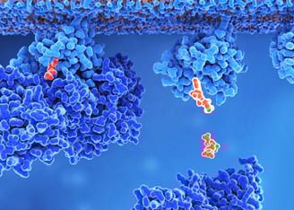 Making CAR T Cells Safer with Synthetic Biology