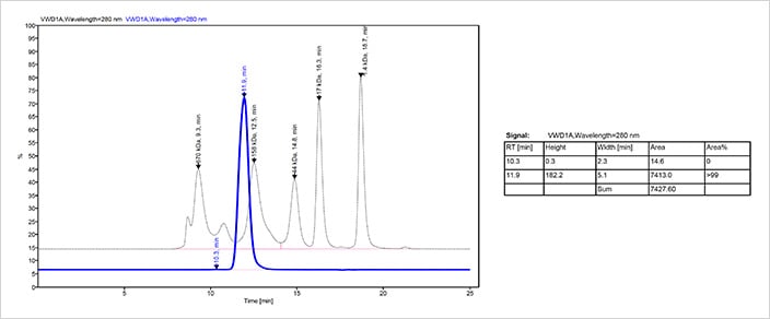 Fc fusion protein 1 SEC-HPLC