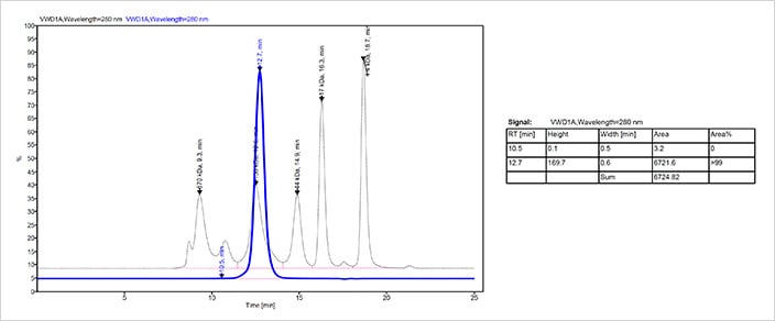 Fc fusion protein 2 SEC-HPLC