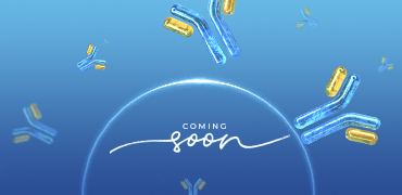 Maximizing PK and ADA Evaluation Efficiency with Our Cutting-Edge Rabbit Antibody Development Technology