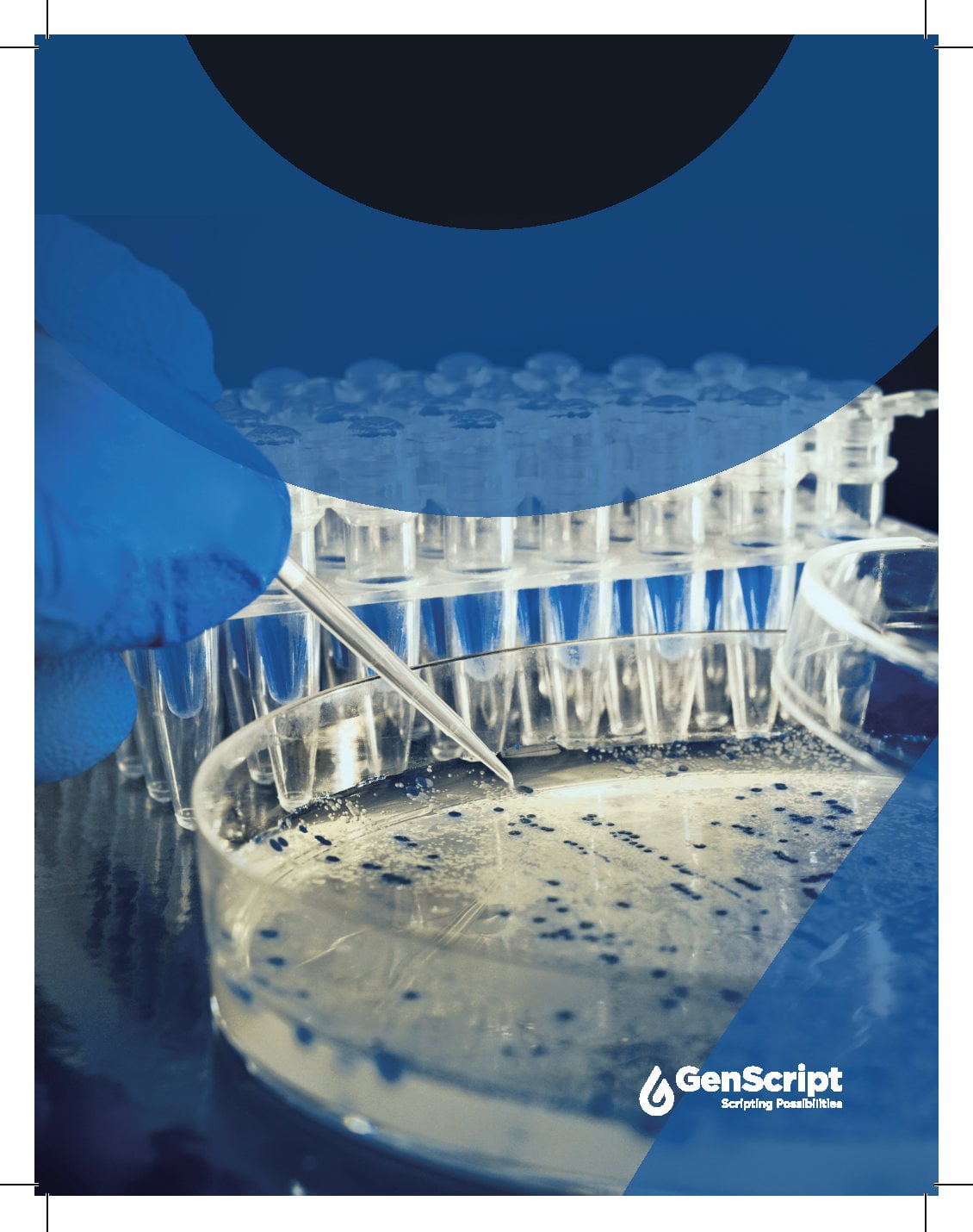 Molecular Biology Products