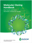 Gene Synthesis Handbook