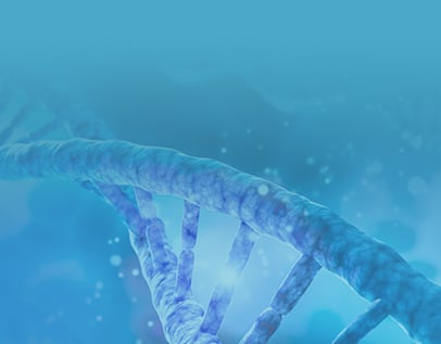 GenBuilder™ DNA Assembly