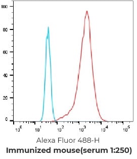 Serum titer after hPTX-LNP immunization