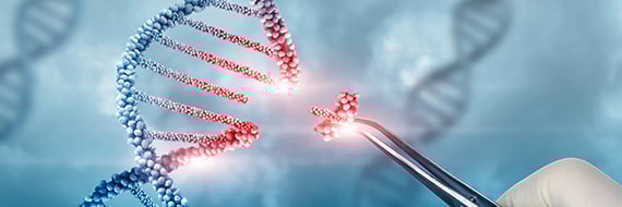 New advances in CRISPR Gene Editing