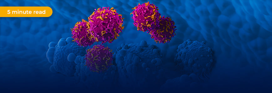 CAR-T in Autoimmunity: Considerations for Next-Generation Allogeneic CAR-T Design