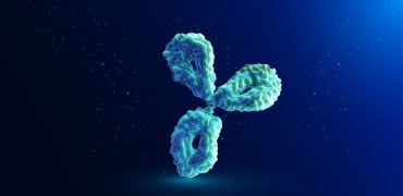 Enhance productivity and purity in next-generation bispecific antibody manufacturing
