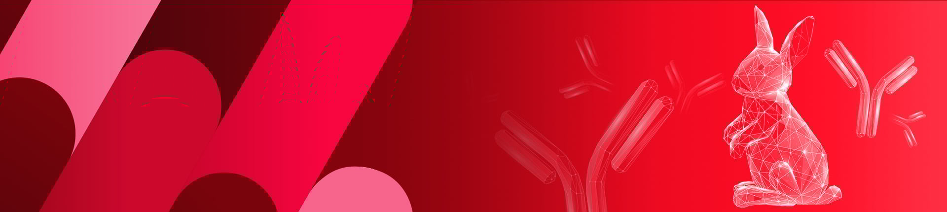 Peptide Antigen Database