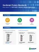 GenScript Protein Standards