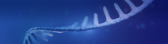 Synthetic
                                                    sgRNA