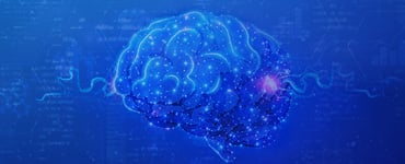 sgRNA/HDR Template Design Tool