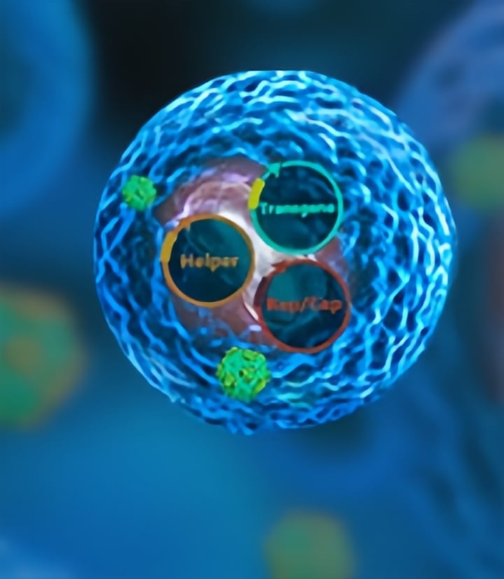 How to improve plasmid and viral vector manufacturing process