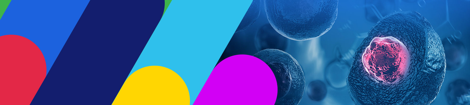 Cell Therapy Solutions 