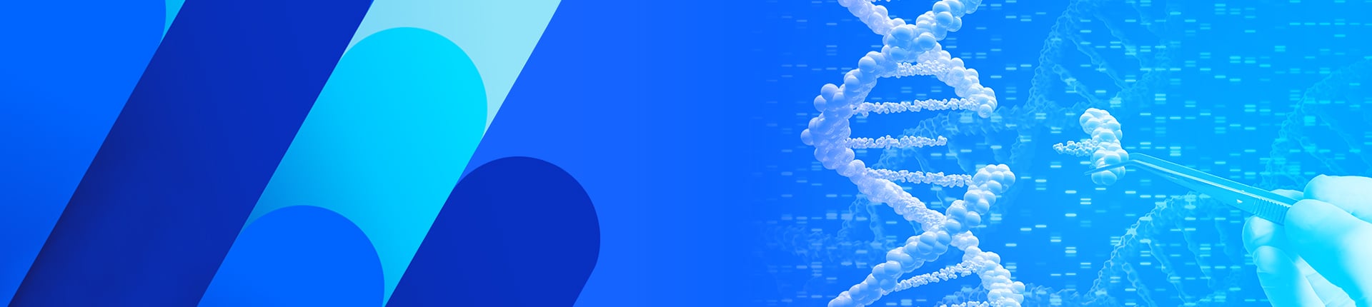 cGMP ssDNA And dsDNA Services Are Here!