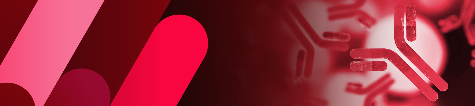 GenScript's Polyclonal Antibody Generation Services