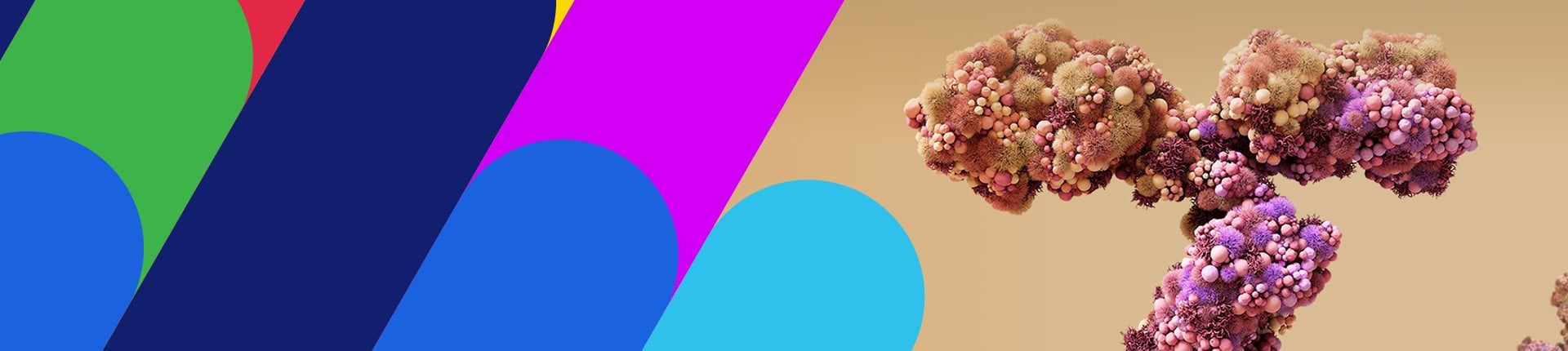 Antibody Drug Discovery Solutions