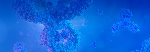 TurboCHO™ Antibody Expression