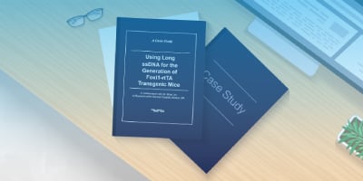 Long Hybrid ssDNA HDR Templates Enable High Yield Non-viral Cell Therapy Manufacturing