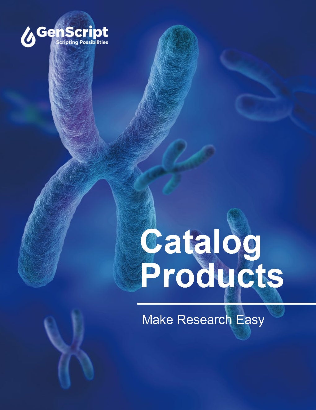Catalog Products All In One Brochure