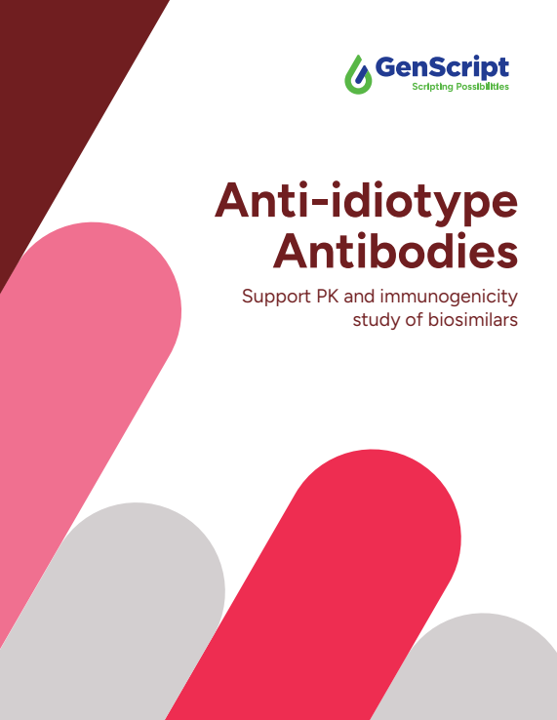 Anti-idiotype Antibodies