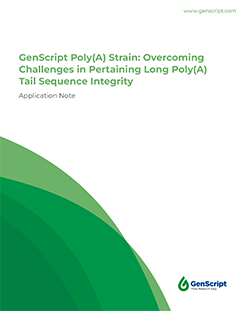 GenScript’s Advanced mRNA Applied Vector for Superior Cloning and Efficient Plasmid Production