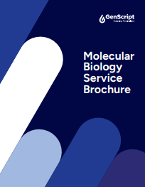 Molecular Biology Service Brochure