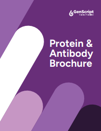 Protein & Antibody Brochure