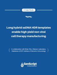 CRISPR Knock-in Comprehensive Guide