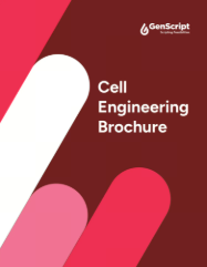 Cell Engineering Handbook