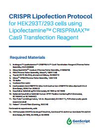 CRISPR/Cas9 Lipofection Protocols
