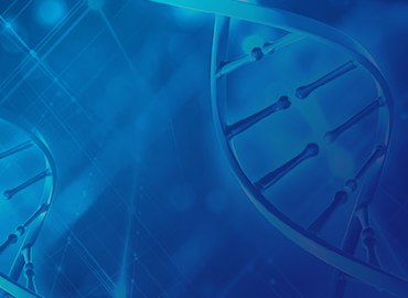 HDR Knock-in Templates