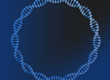 CRISPR/Cas Plasmids