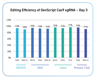  SafeEdit sgRNA ensures cell viability