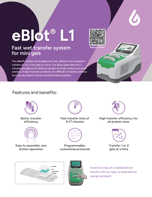 eBlot™ L1 Fast Wet Transfter System