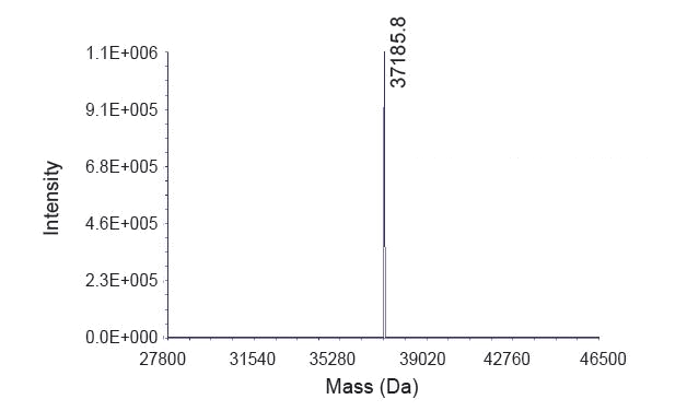 MS: molecular weight deviation ≤ 0.05%