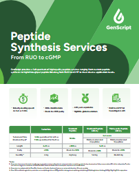 Flyer Peptide