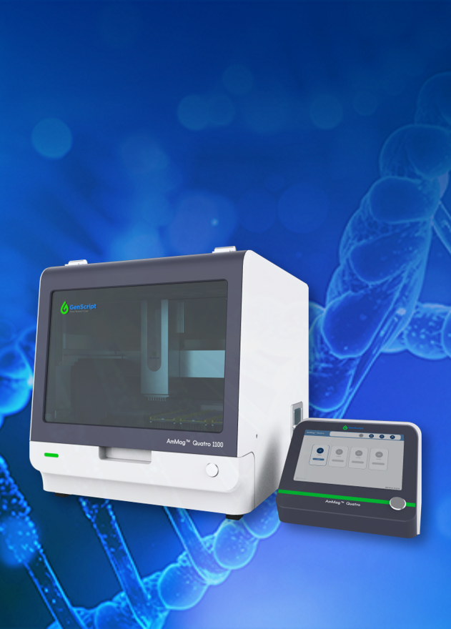 AmMag™ Quatro Mini