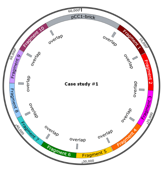Final construct and assembly strategy