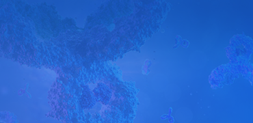 HD Transient Expression Service