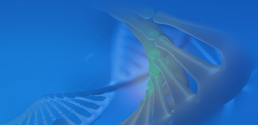 High-Throughput DNA Library Assembly