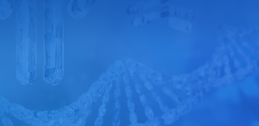 High Throughput Gene to Antibody Production