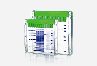 SurePage Pre-cast Gels