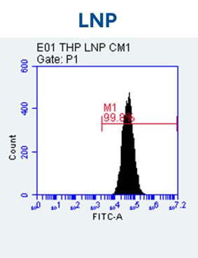 Delivery of eGFP mRNA into THP-1 Cells 