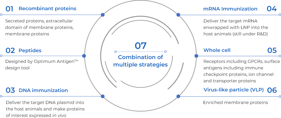 Combination of Multiple Strategies