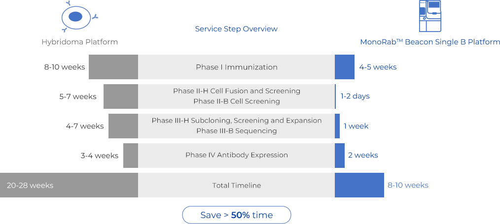 Service Step Overview
