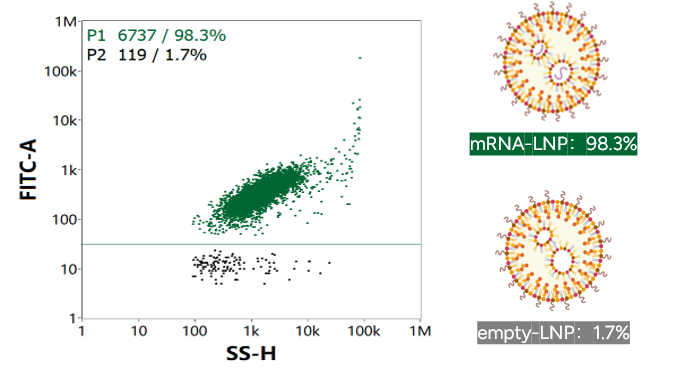GenScript LNPs exhibit a low percentage of empty LNPs (<2%).