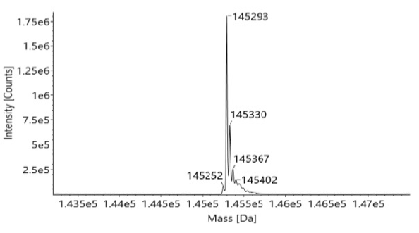 Mass- Intensity Analysis