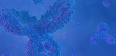 Solution Highlight 3 Banner